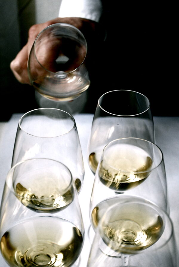 Glasses of white wine served during a tasting