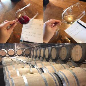 Visites de caves en Beaujolais