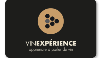 logo-vinexperience